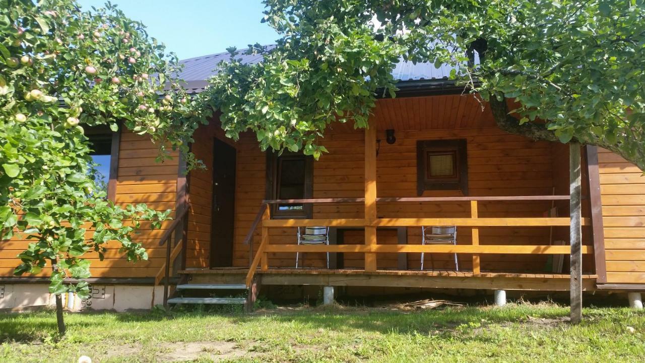Vasarnamis Zarasuose Villa Zarasai Exterior photo